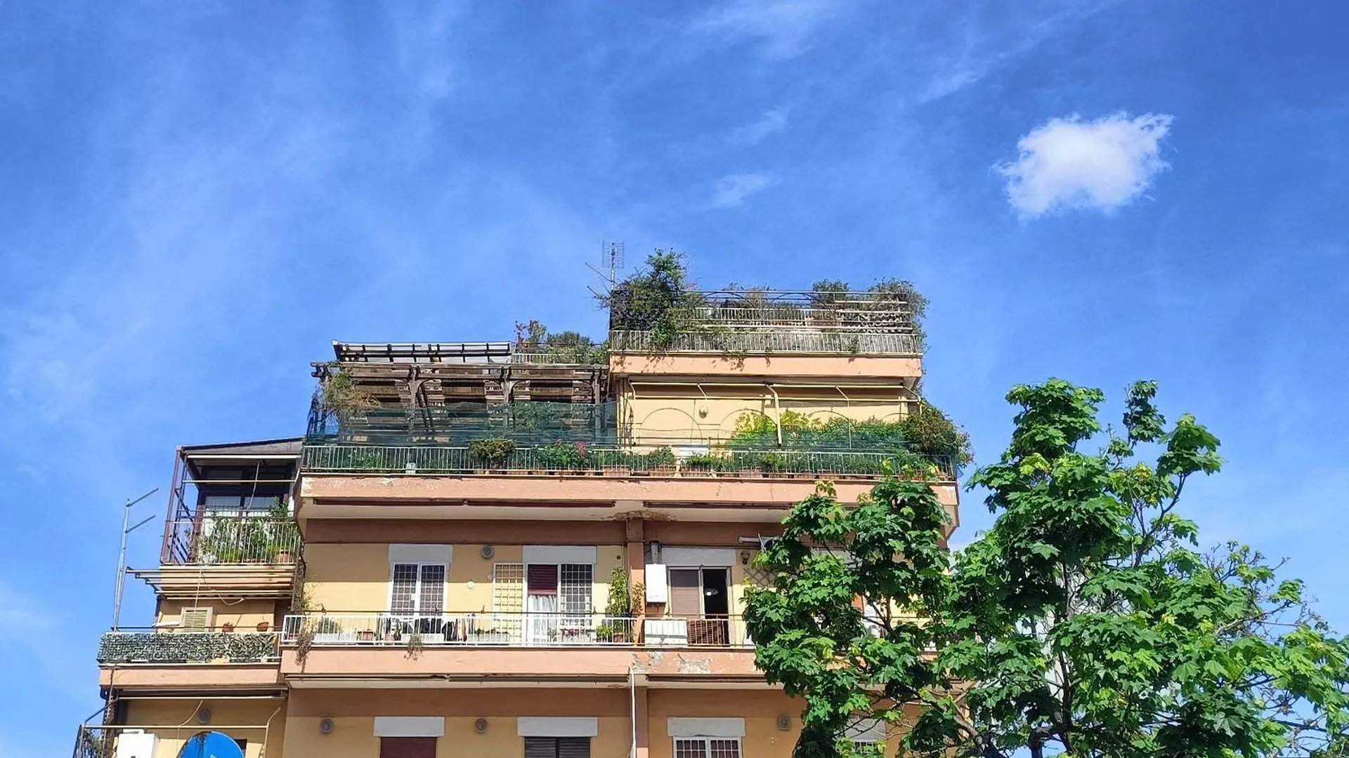Big Terrace Grand House - New Apartment Rome